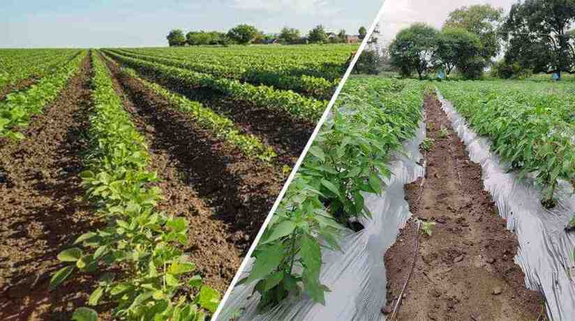 Sustainable agricultural practices